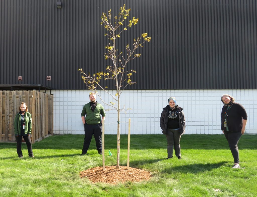 Four Plasman Windsor 1 Manufacturing employees standing behind a newly planted tree in a grassy area in front of a building that was planted for Earth Day