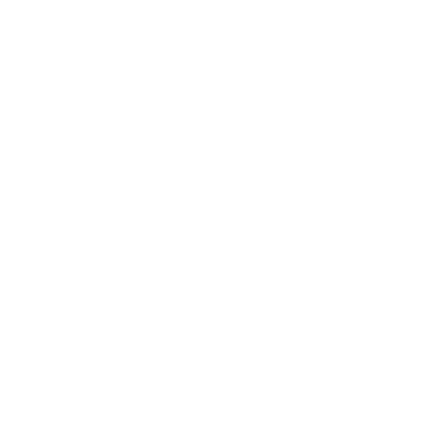 Plasman's Communication value logo