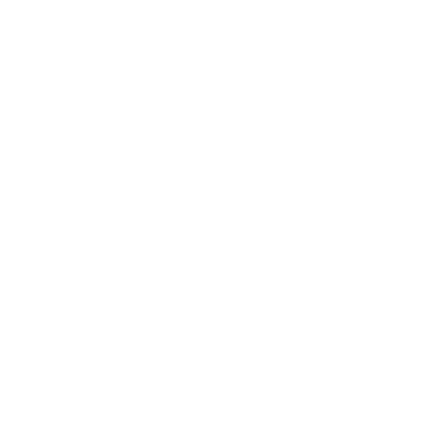 Plasman's Courage value logo