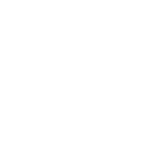 Plasman's Ethics & Integrity value logo
