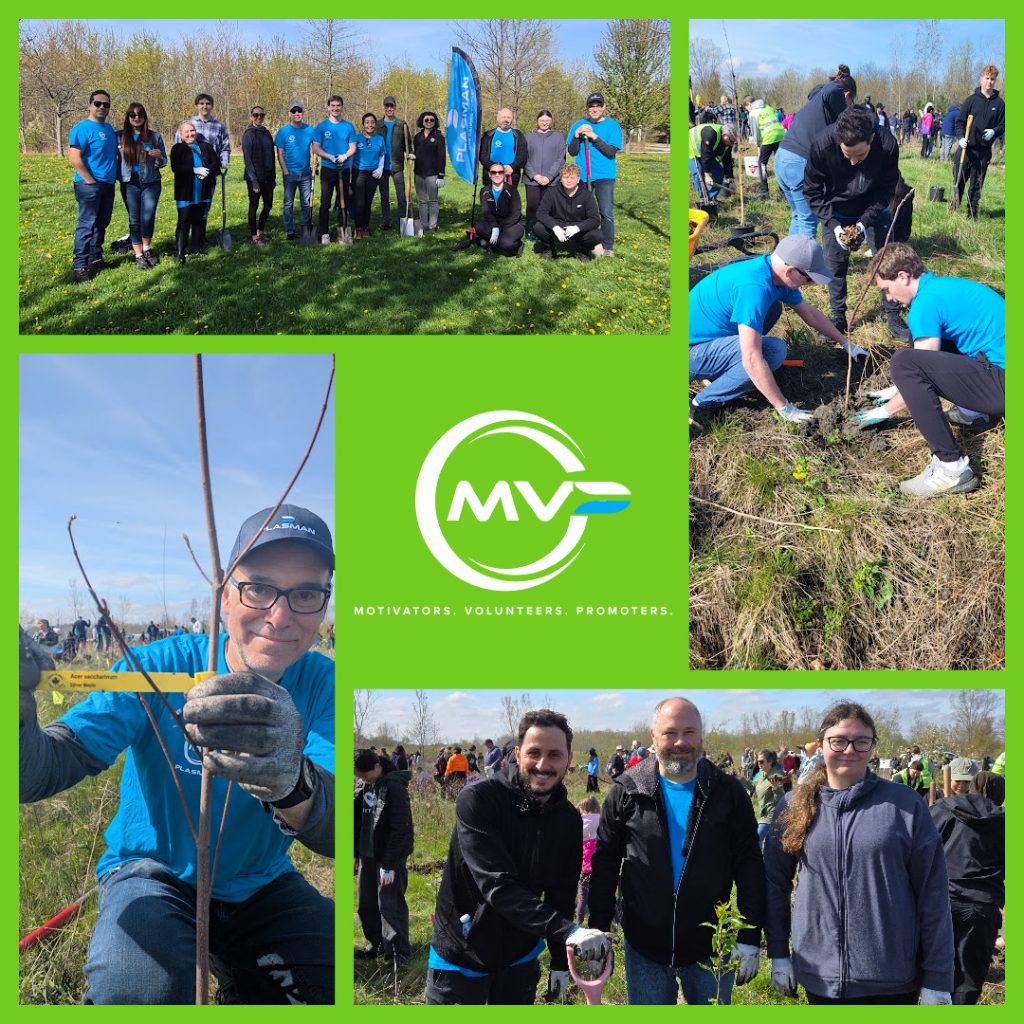 Collage of MVP ambassadors planting trees and standing together as a group