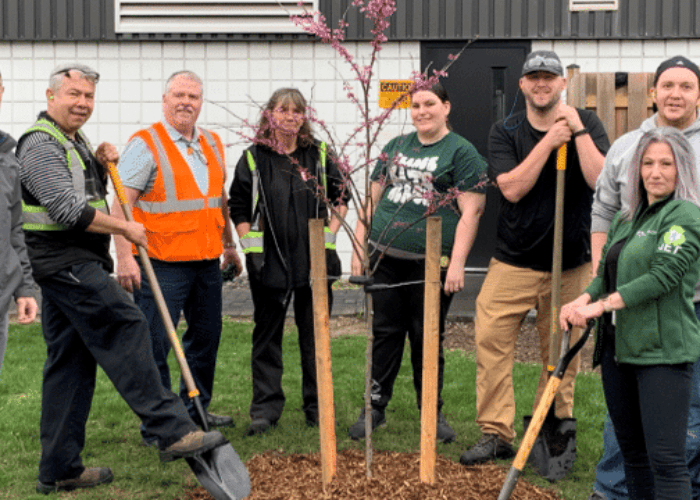 Group of Plasman Windsor 1 Manufacturing employees posting around freshly planted tree